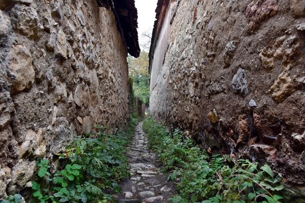 Wąska wiejska aleja z kamiennymi murami pokrytymi roślinami Ruelle