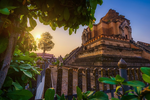 Wat Chedi Luang Jest Buddyjską świątynią W Historycznym Centrum I Buddyjską świątynią Jest Główną Atrakcją Turystyczną W Chiang Mai W Tajlandii.