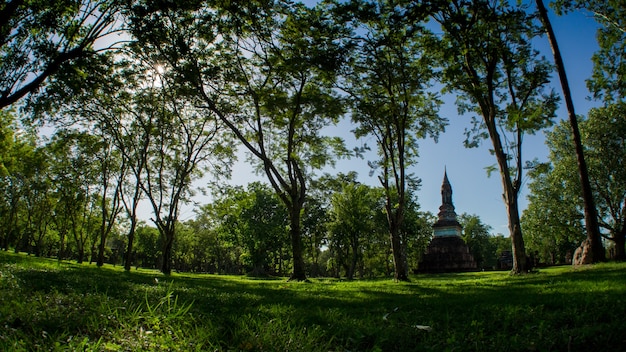 Wat Traphang Ngoen w Sukhothai Historical Park