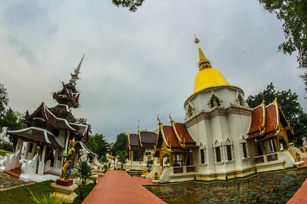 Wat W Chiangmai Tajlandia