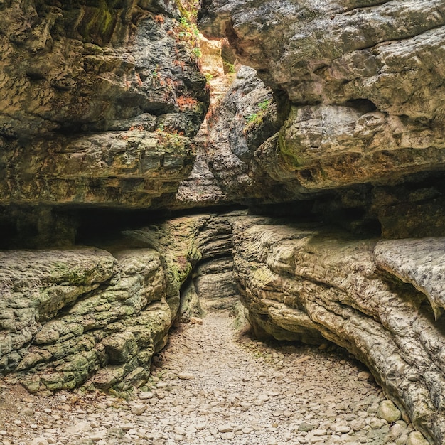 Zdjęcie wąwóz saltinskij - wyjątkowy rezerwat przyrody. wąwóz w górach krajobraz natura na dagestanie. rosja. kwadratowa panorama.