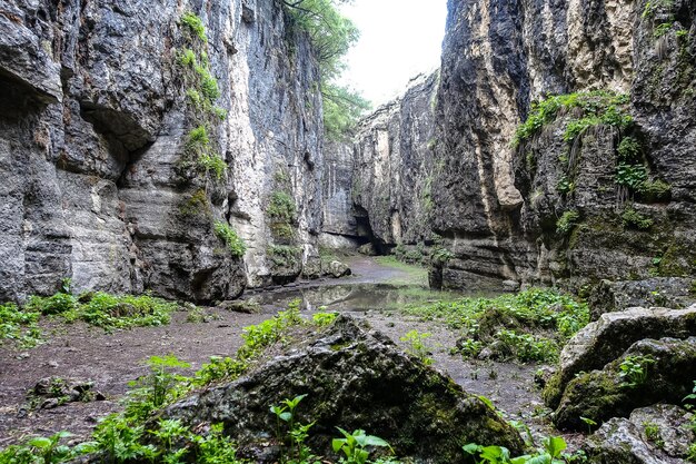 Wąwóz Stone Bowl unikalny rezerwat przyrody Wąwóz w górach krajobraz natura w Dagestanie w Rosji