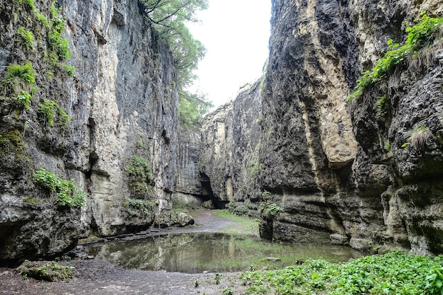 Wąwóz Stone Bowl unikalny rezerwat przyrody Wąwóz w górach krajobraz natura w Dagestanie w Rosji