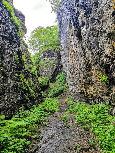 Wąwóz Stone Bowl unikalny rezerwat przyrody Wąwóz w górach krajobraz natura w Dagestanie w Rosji