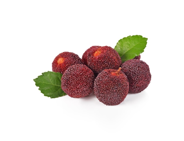 Waxberry na białym tle