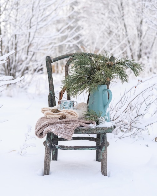 Wazon z gałązkami iglastymi dziergany i filiżanka na starym krześle w zaśnieżonym zimowym ogrodzie
