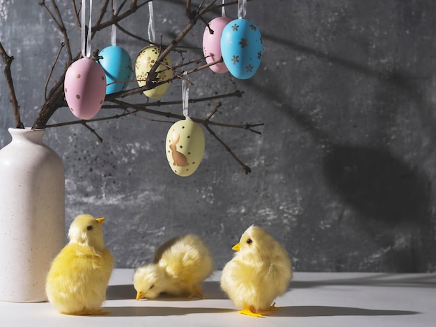 Wazon z oddziałów ozdobione jaja wielkanocne Śliczne żółte kurczaki Wielkanoc dekoracji miejsca na tekst