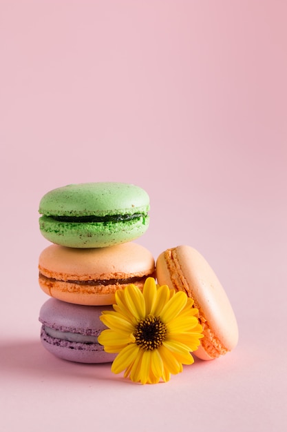 Wciąż życie i karmowa fotografia tortowi macarons w prezenta pudełku z kwiatami, filiżanka herbata na lekkim tle. Makaroniki koncepcja słodyczy i deserów.