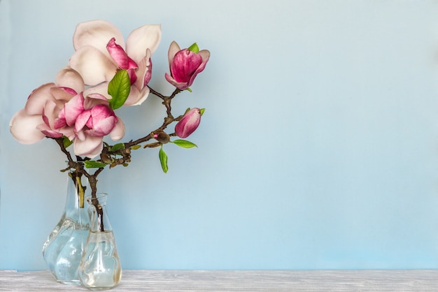 Wciąż życie Z Piękną Wiosny Magnolią Kwitnie W Wazie Na Błękitnym Copyspace. Koncepcja Natury