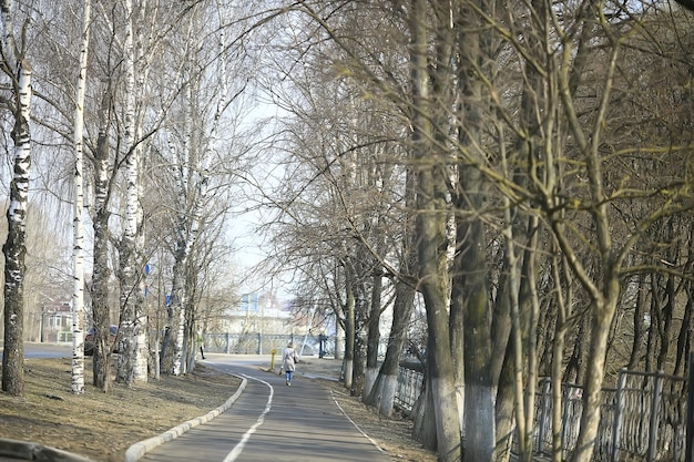 wczesna wiosna w lesie / drzewa bez liści, śnieg topnieje, szary smutny park leśny na wiosnę