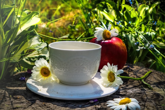 Wczesny słoneczny letni poranek na łonie natury i biała filiżanka herbaty na zielonej trawie i owocach