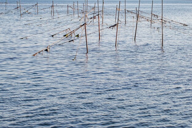 Wędkowanie starymi sieciami z zardzewiałymi stosami i drutami w wodzie na morzu z falami w dzień