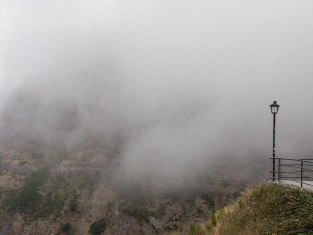 Zdjęcie wędrowanie po wyspie madeira