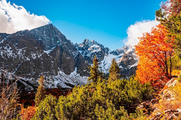 Wędrówka w parku narodowym Wysokie Tatry Wędrówka od białego jeziora do zielonego jeziora w górskim krajobrazie Zelene pleso Słowacja