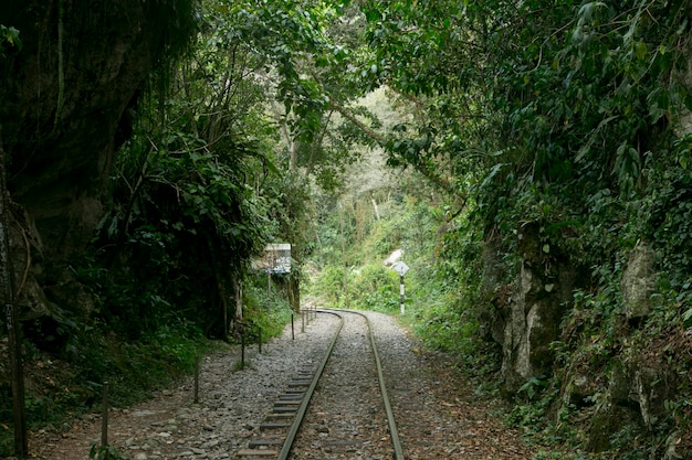 Wędrówka z Santa Teresa Hidroelctrica do Aguas Calientes, aby dotrzeć do Machu Picchu.