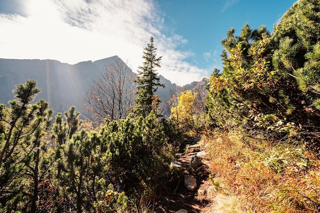 Wędrówki w parku narodowym Wysokie Tatry Wędrówki z Biele Pleso na Zelene pleso w górach Wysokie Tatry Słowacja Piękne