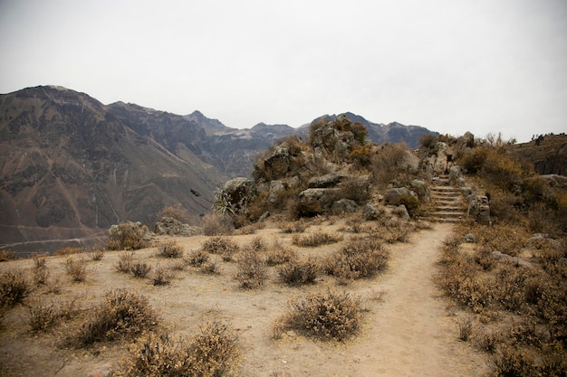 Wędruj przez Kanion Colca trasą z Cabanaconde do Oasis