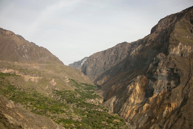 Wędruj przez Kanion Colca trasą z Cabanaconde do Oasis