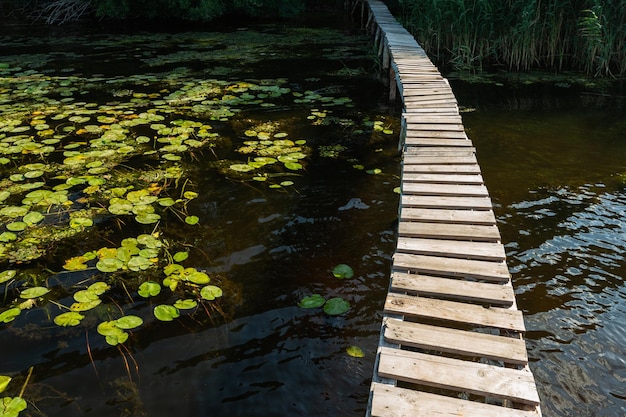 Zdjęcie weekendowe wycieczki z liliami wodnymi na świeżym powietrzu i wąskim mostem