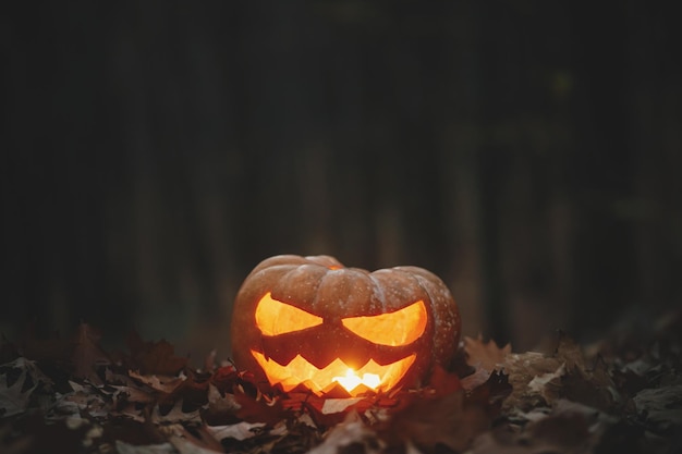 Wesołego Halloween Upiorna świecąca latarnia Jack o na jesiennych liściach w nastrojowym ciemnym lesie Straszny atmosferyczny halloween wyrzeźbiona dynia w wieczornym jesiennym lesie Boo Horror czas Kopia przestrzeń