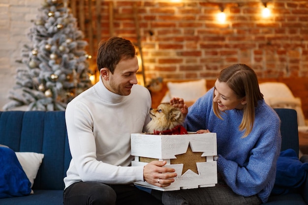 Wesołych Świąt. Szczęśliwa młoda para gra z psem szpic pomorski, siedząc w pobliżu pięknej choinki w domu. Ferie zimowe, obchody Bożego Narodzenia, koncepcja nowego roku. Spędzać razem czas.