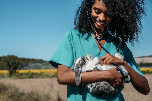 Weterynarz egzamininuje królika w siana polu