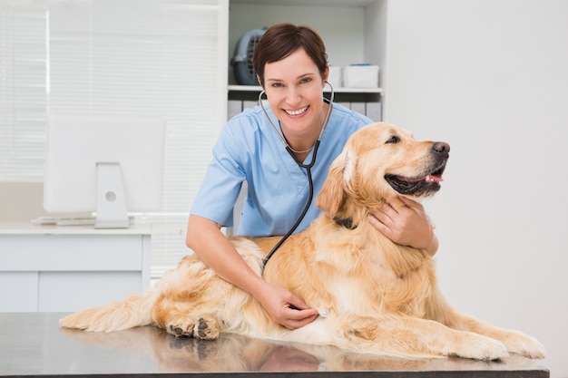 Weterynarz egzamininuje ślicznego psa z stetoskopem