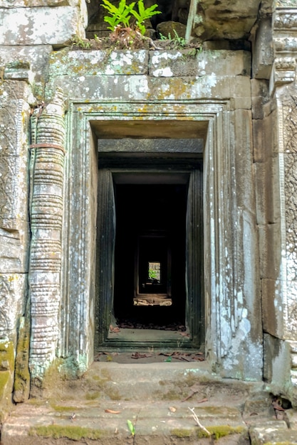 Wewnątrz świątyni Ta Prohm