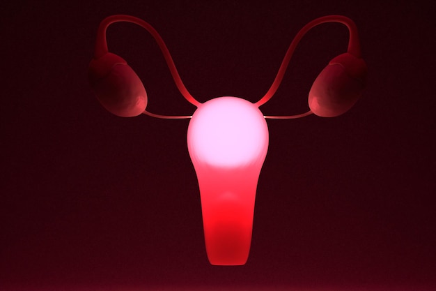 Wewnętrzne narządy płciowe żeńskie Światło z macicy i jajników Koncepcja menstruacji menopauzy Renderowanie 3D