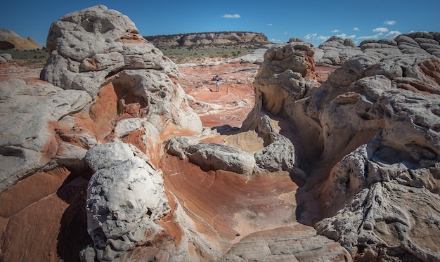 White Pocker, Arizona