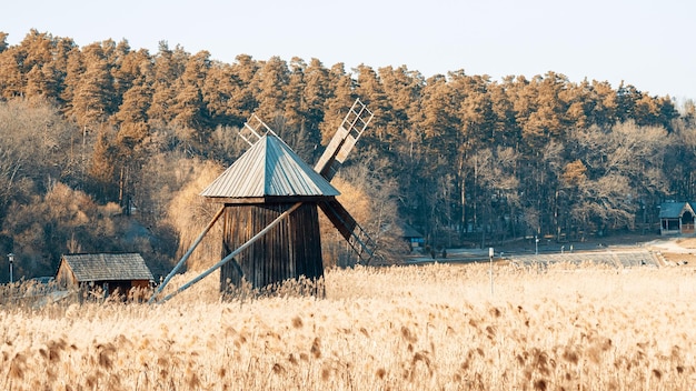 Wiatraczek w kompleksie National Muzeal Astra, Sibiu, Rumunia