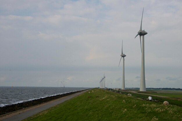 Zdjęcie wiatrak na polu nad morzem przeciwko niebu