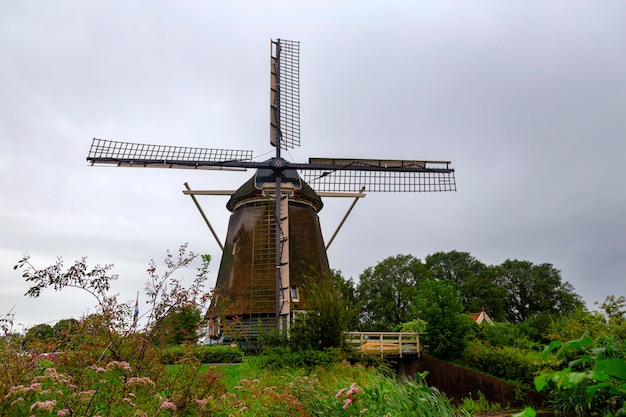 Wiatrak w Holandii znajduje się na polu trawy i kwiatów.