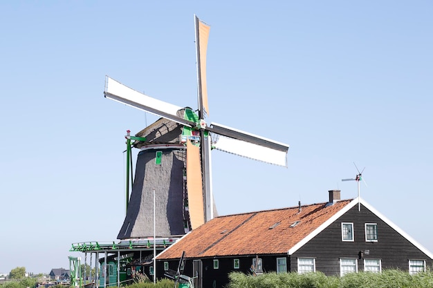 Wiatrak w wiosce Zaanse Schans na tle niebieskiego nieba Holandia