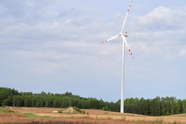 Wiatraki na polu symbolizują przyszłość energii odnawialnej i zrównoważonej Zielona energia