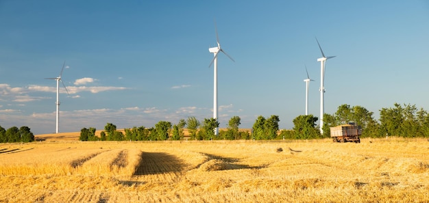 Wiatraki w polu pszenicy, odnawialna zrównoważona energia, generator energii elektrycznej, środowisko