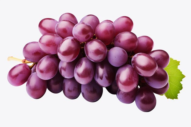 wiązkę fioletowych winogron ze słowem na dole