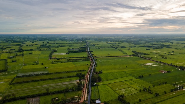 Widok Ariel Na Pola Ryżowe W Tajlandii?