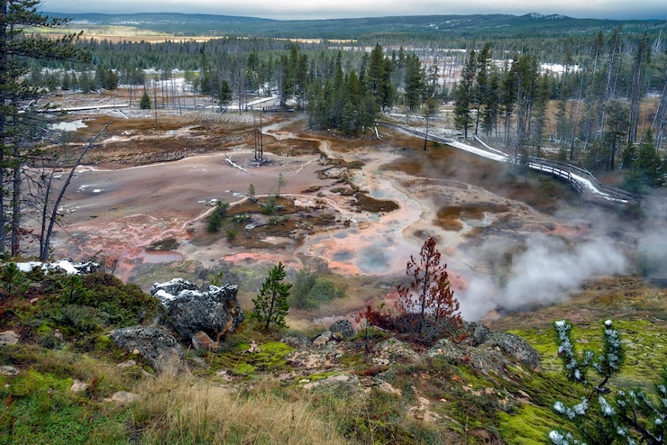 Zdjęcie widok artysty z farbami yellowstone