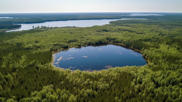 Widok błękitnego jeziora i zielonych letnich lasów w Finlandii Zasoby kreatywne AI Generated