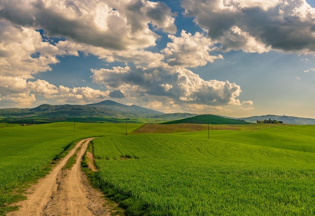 Widok brudnej drogi na polu