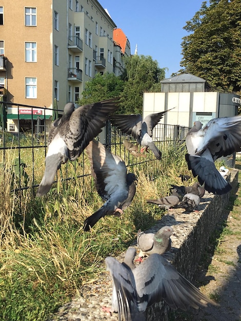 Zdjęcie widok budynków w mieście