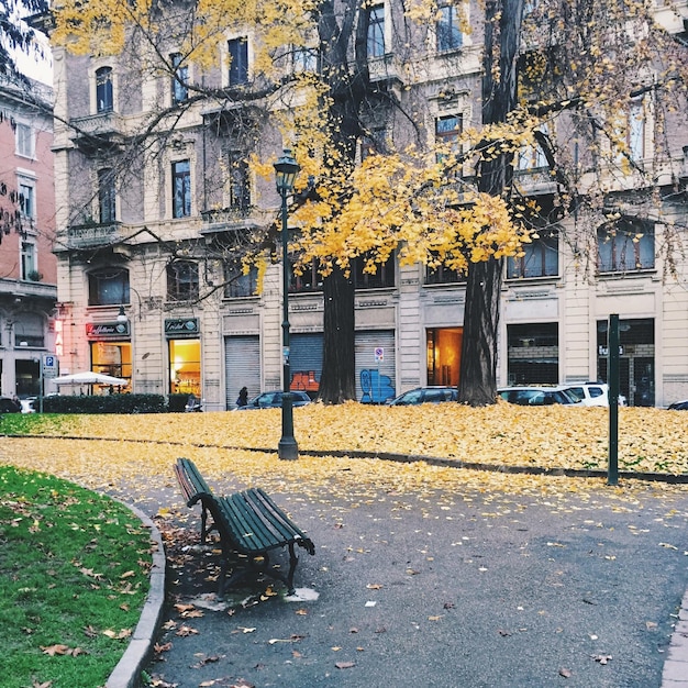 Zdjęcie widok budynków w mieście