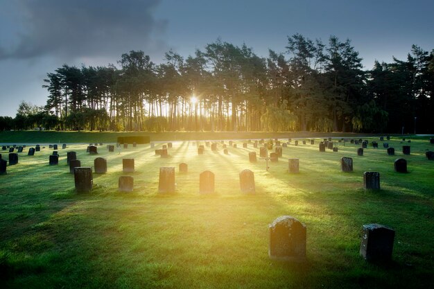 Zdjęcie widok cmentarza na tle nieba