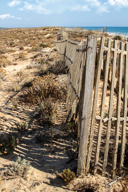 Widok drewniany plażowy ogrodzenie na piasek diunie.