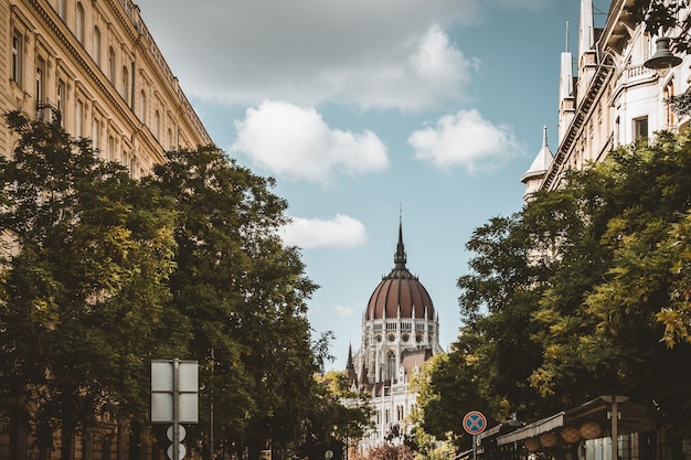 Zdjęcie widok drzew i budynków na tle nieba