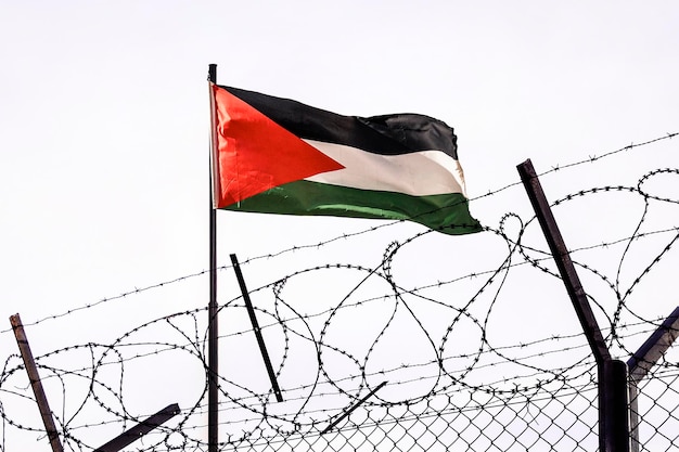 Zdjęcie widok flagi palestyńskiej za drutem kolczastym na tle pochmurnego nieba na granicy palestyny punkt kontrolny w ambasadzie kraju na granicy palestyńsko-izraelskiej