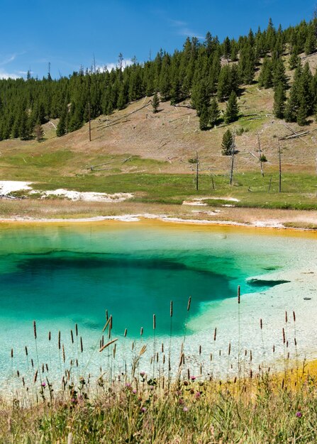 Zdjęcie widok geotermalnych źródeł i pustyni na tle nieba w wyoming