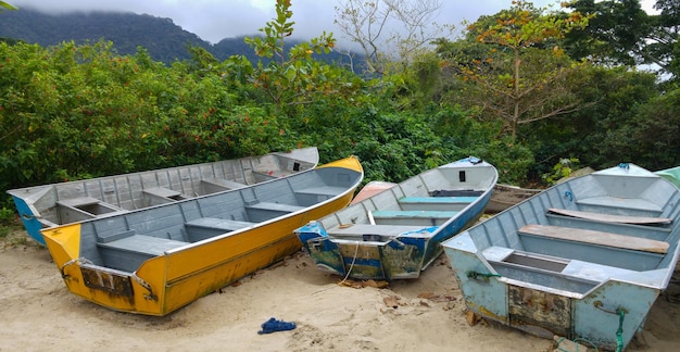 Widok grupy łodzi rybackich zaparkowanych na piasku.