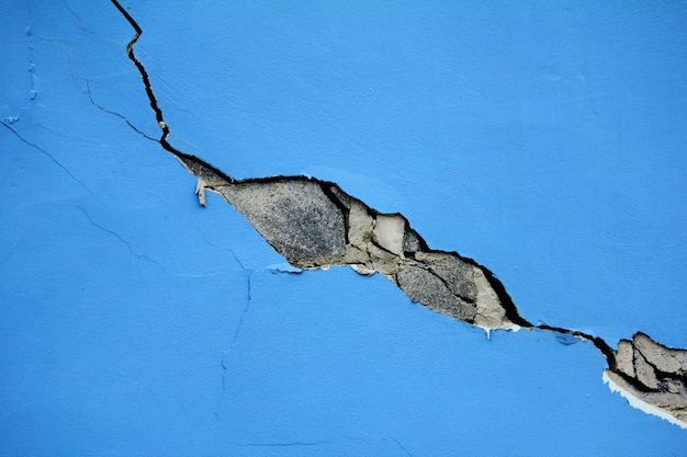 Zdjęcie widok jaszczurki na ścianie z niskim kątem
